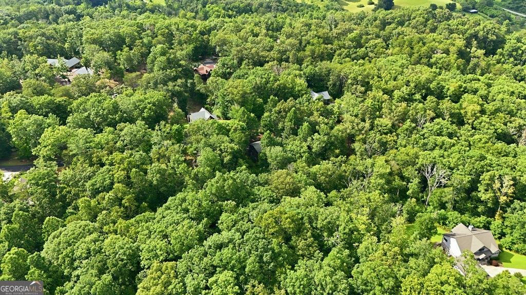 161 Arbor Way Blue Ridge - Photo 34