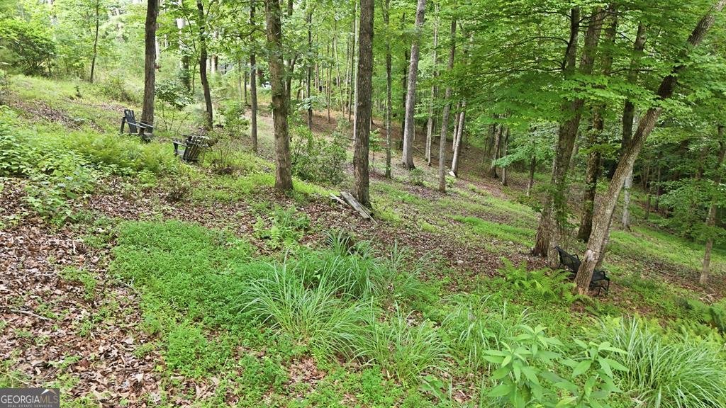 161 Arbor Way Blue Ridge - Photo 49