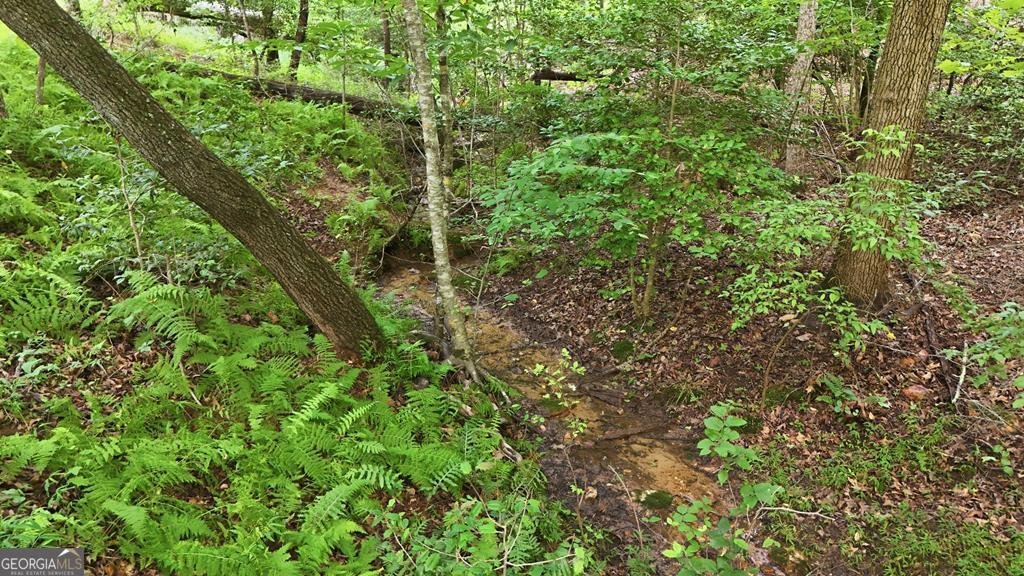 161 Arbor Way Blue Ridge - Photo 52