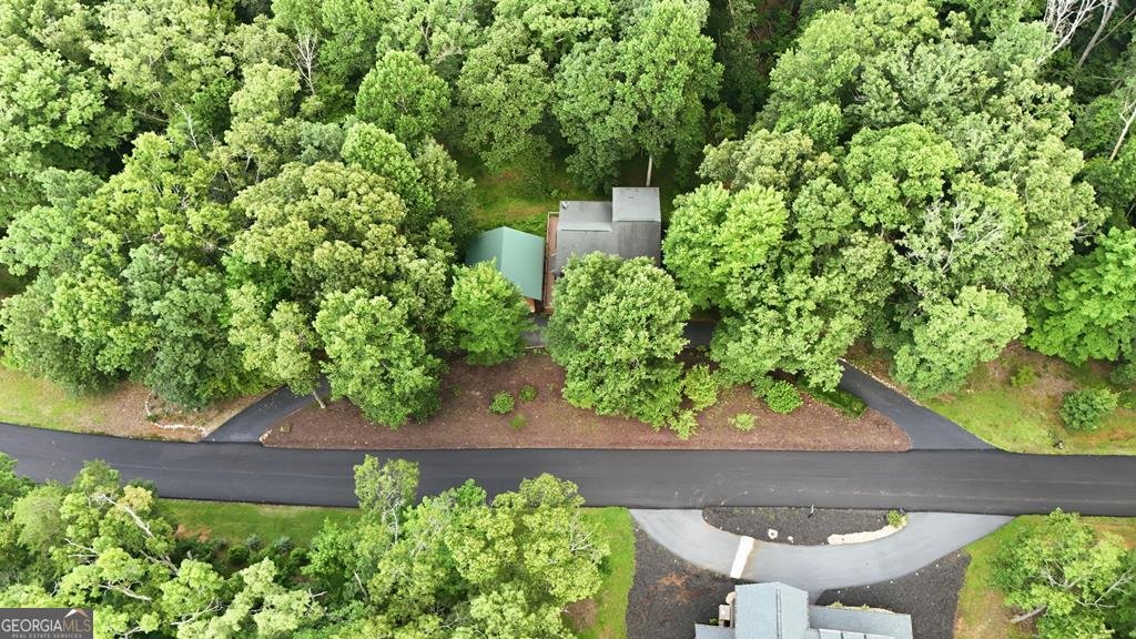 161 Arbor Way Blue Ridge - Photo 57
