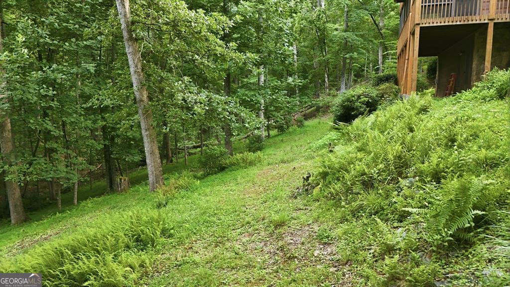 161 Arbor Way Blue Ridge - Photo 63