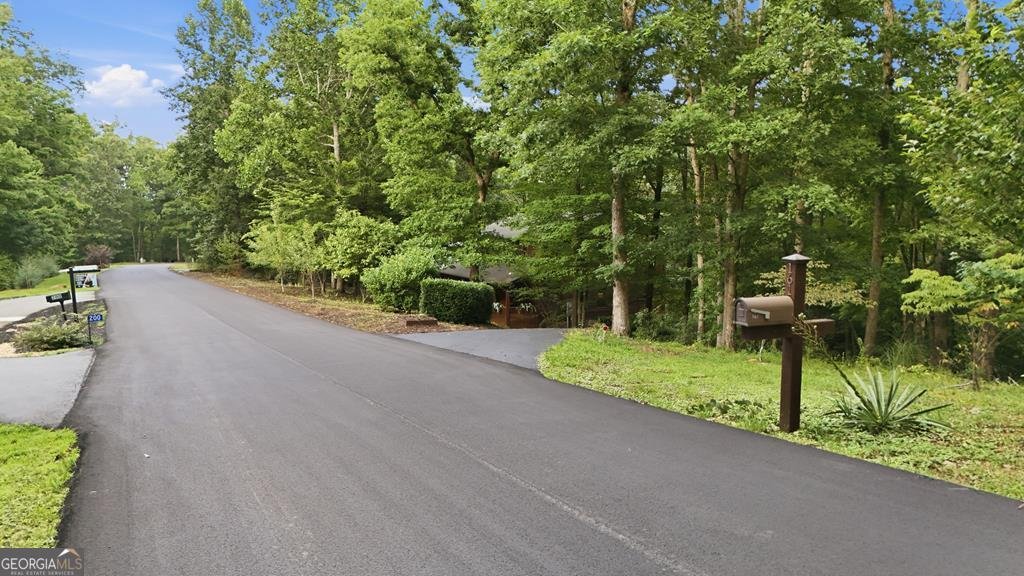 161 Arbor Way Blue Ridge - Photo 65