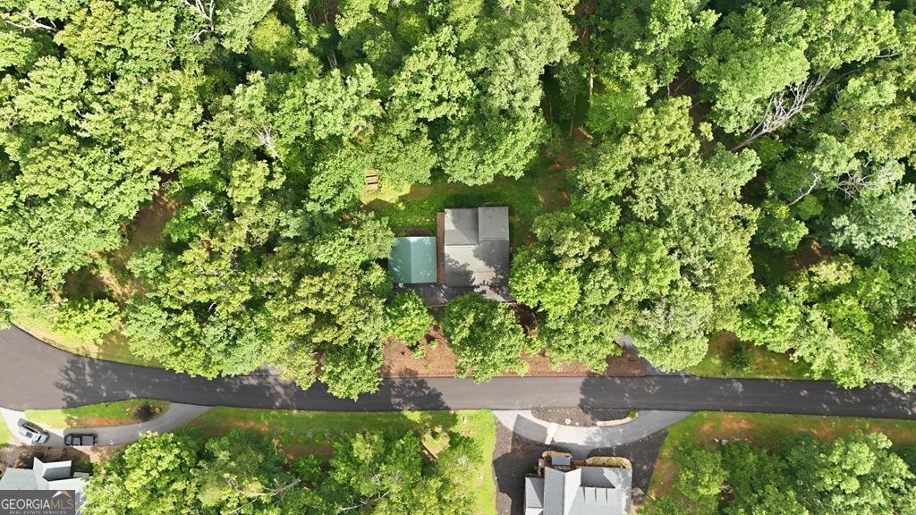 161 Arbor Way Blue Ridge - Photo 66
