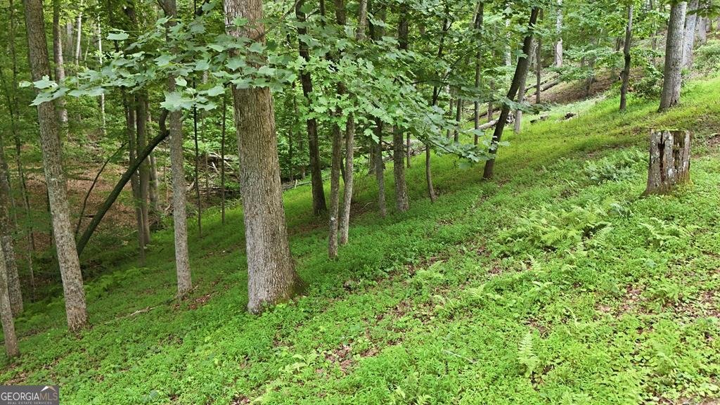 161 Arbor Way Blue Ridge - Photo 69