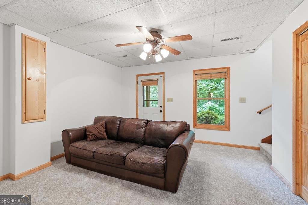161 Arbor Way Blue Ridge - Photo 70