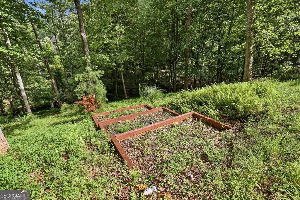 161 Arbor Way Blue Ridge - Photo 71