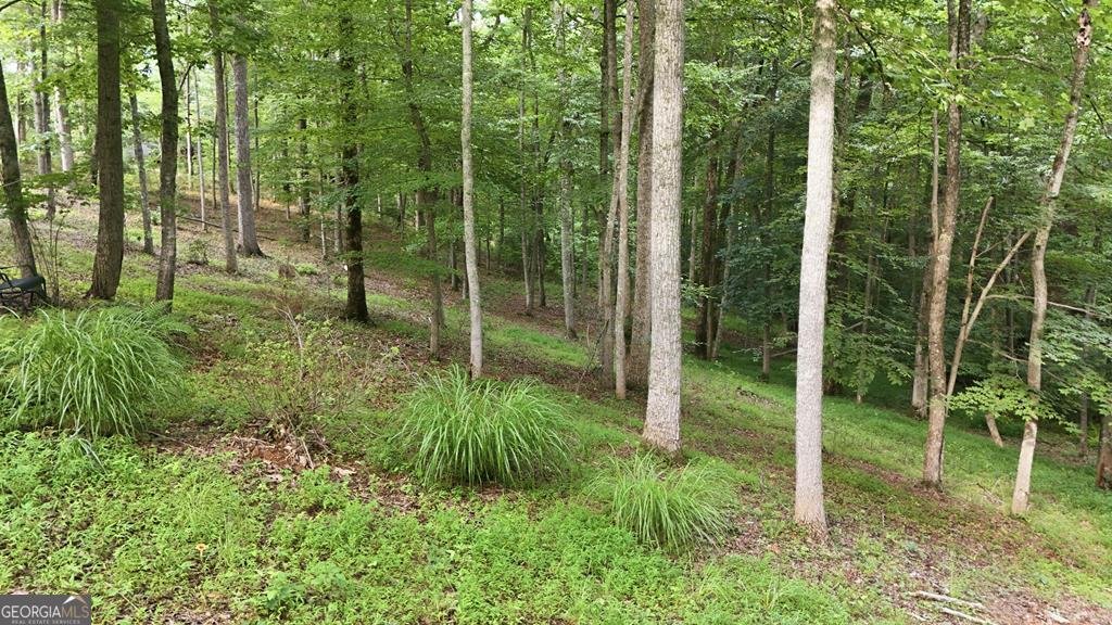 161 Arbor Way Blue Ridge - Photo 73