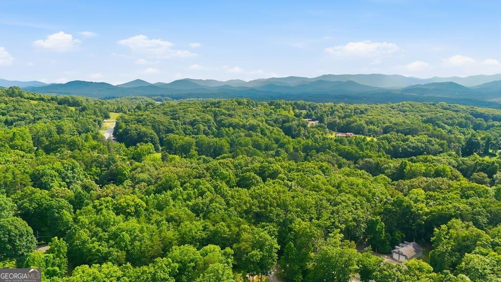 161 Arbor Way Blue Ridge - Photo 74