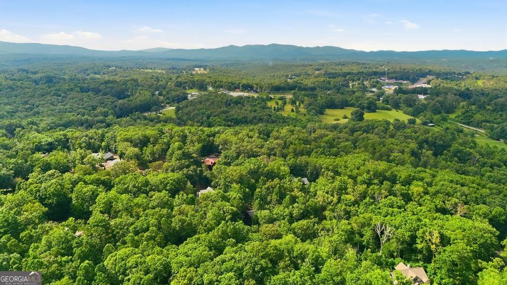 161 Arbor Way Blue Ridge - Photo 83