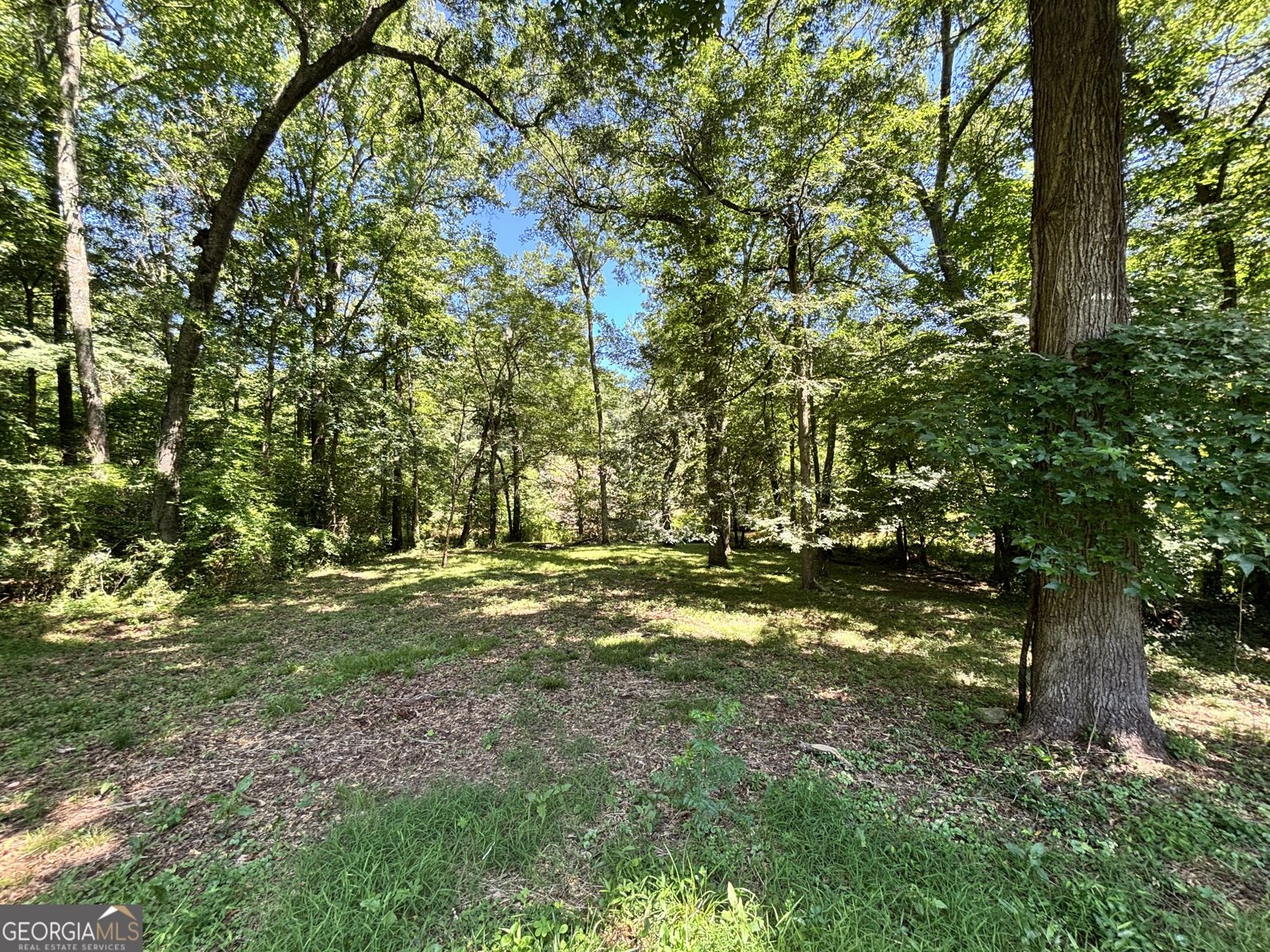 110 Saxon Woods Drive Athens - Photo 30