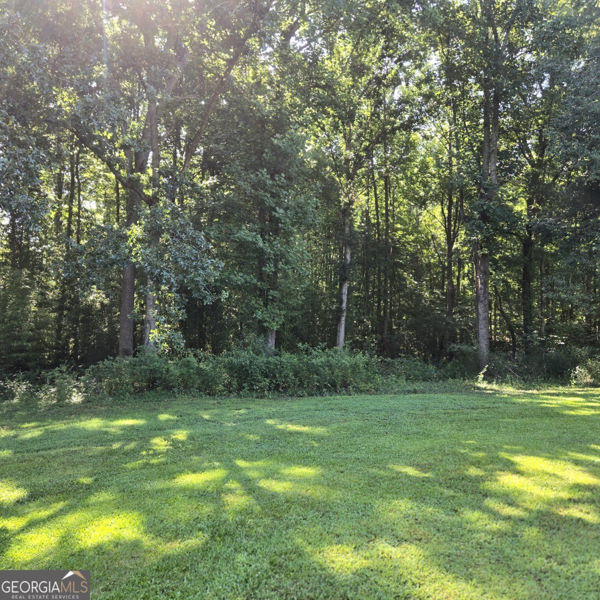 1312 Fairview School Road Demorest - Photo 11