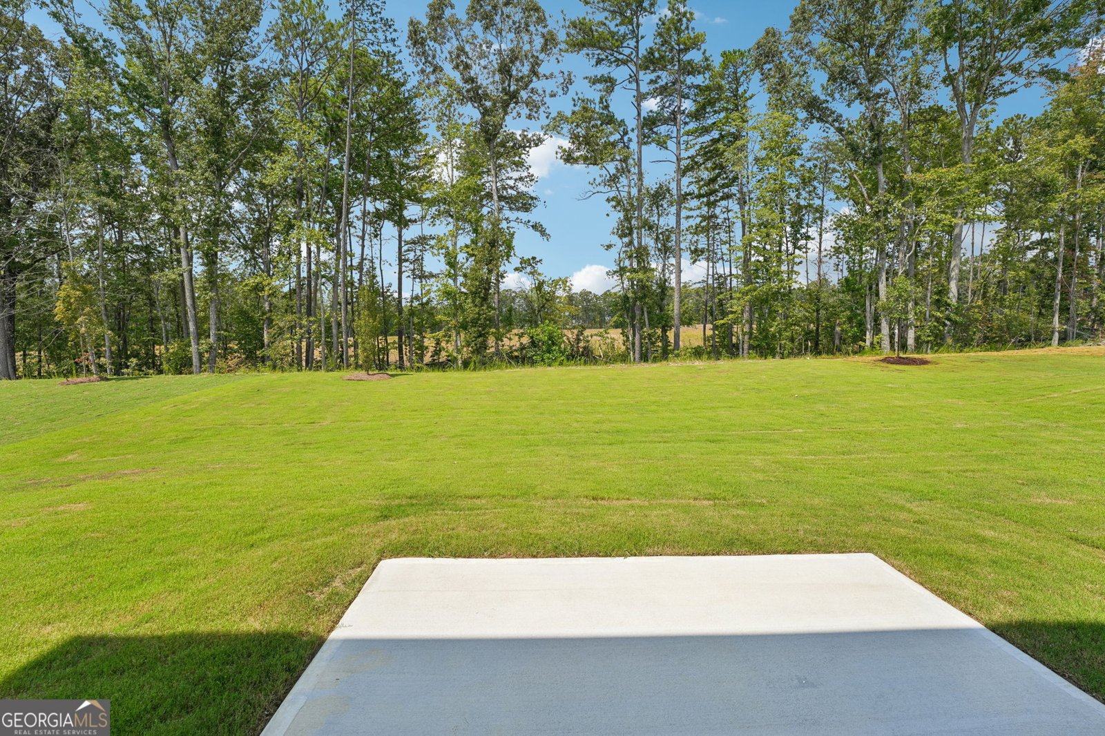 309 Table Rock Way Villa Rica - Photo 50
