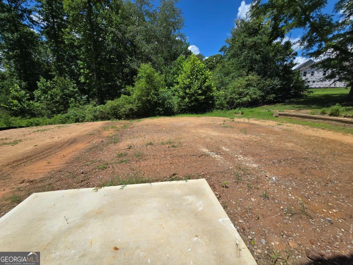 372 Conifer Lane Ball Ground - Photo 42