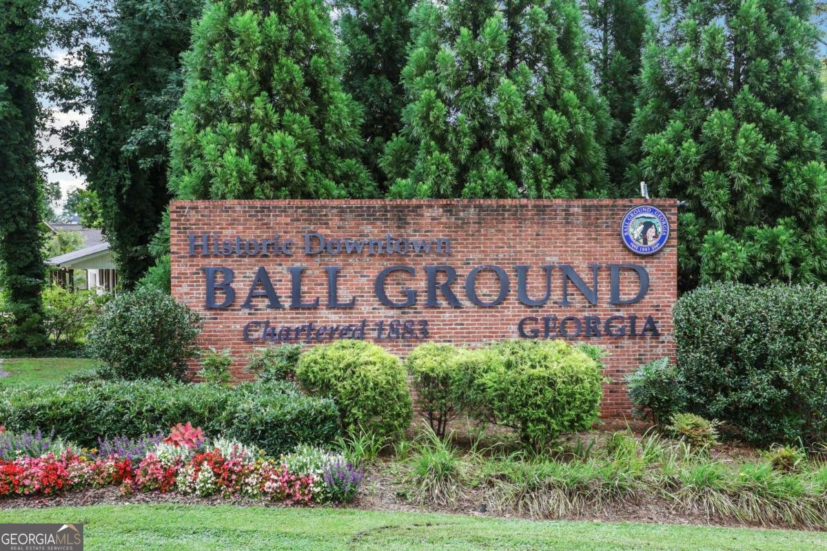 372 Conifer Lane Ball Ground - Photo 50