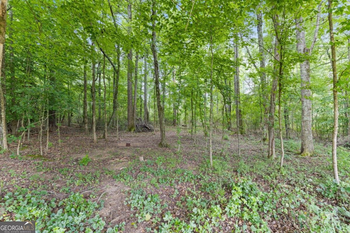 155 Brookside Way Dawsonville - Photo 34