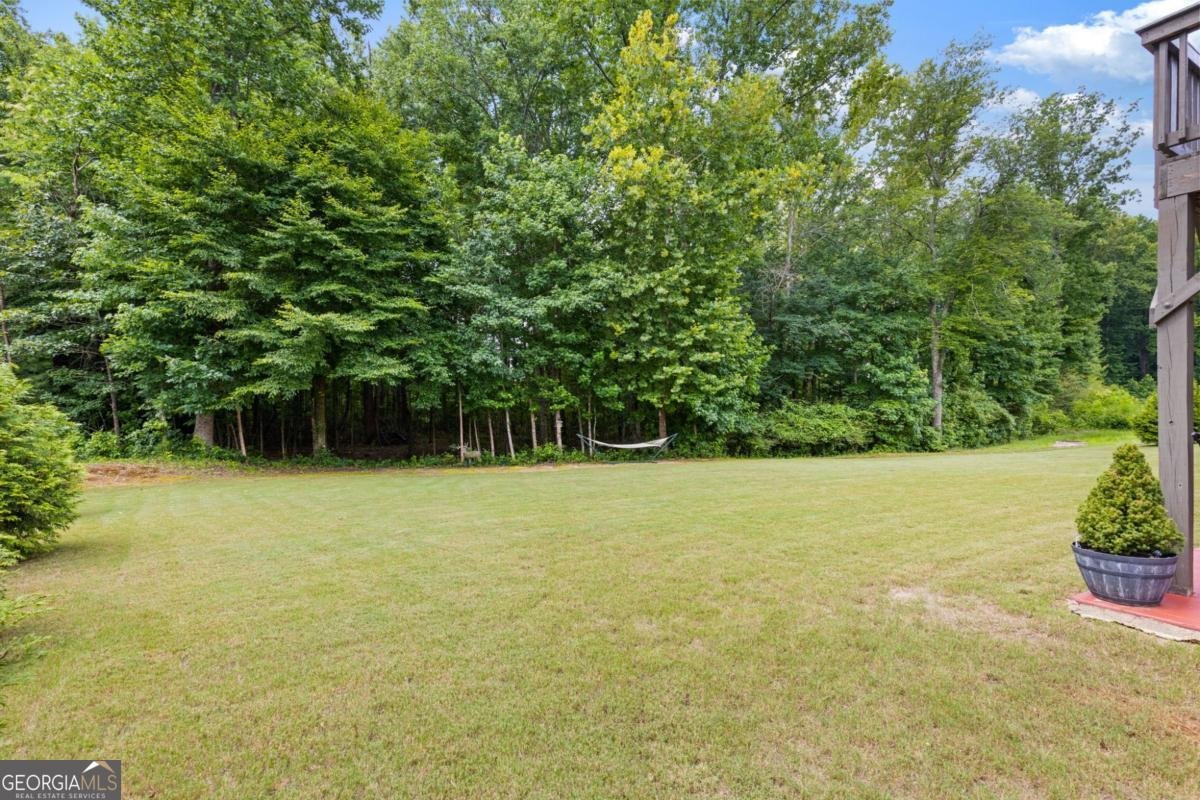 155 Brookside Way Dawsonville - Photo 35