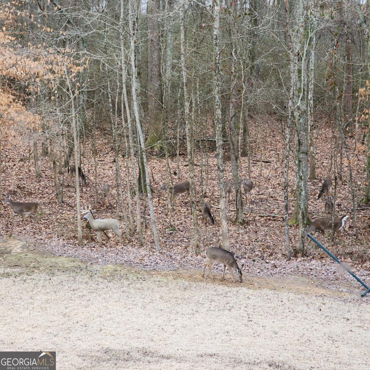 155 Brookside Way Dawsonville - Photo 37