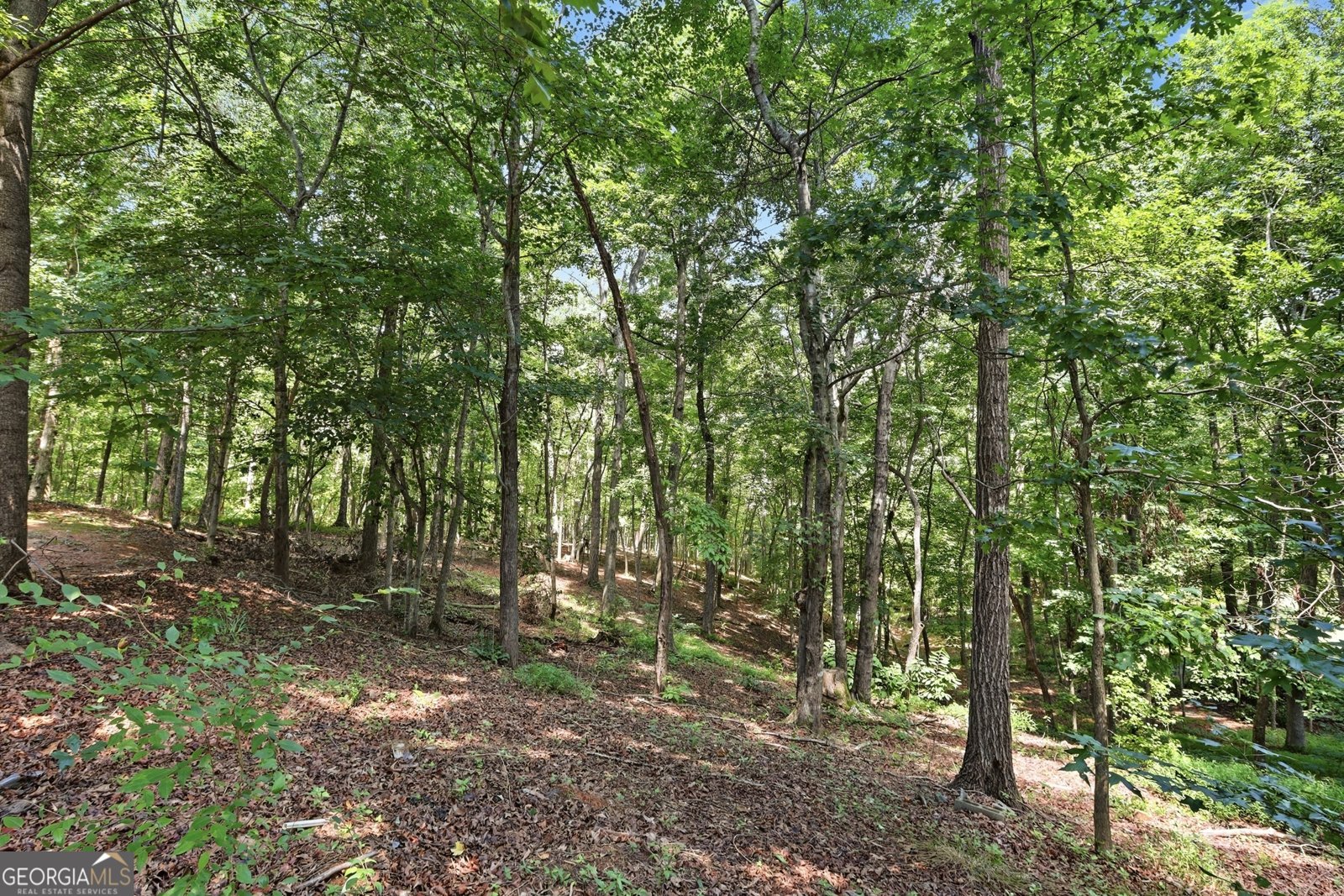 287 Laurel Place Drive Cornelia - Photo 56