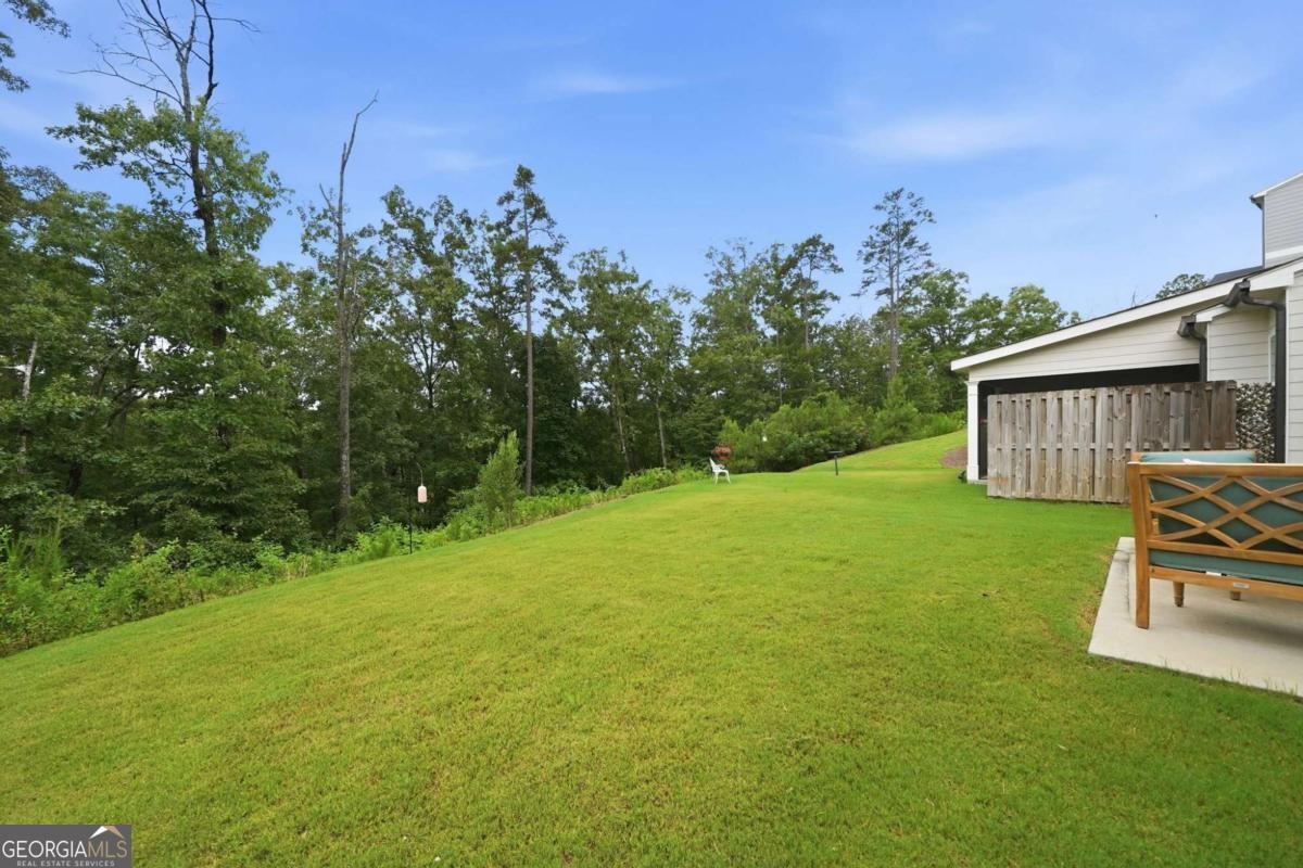 217 Lakeside Place Canton - Photo 52