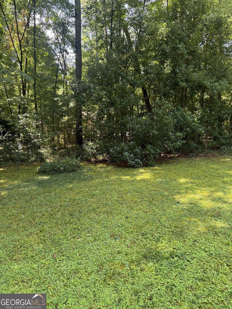 25 Lynn Court Stockbridge - Photo 26