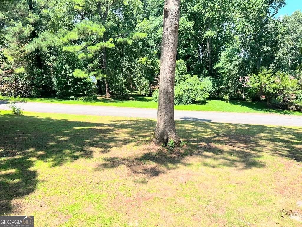 2513 New Mill Court Acworth - Photo 36