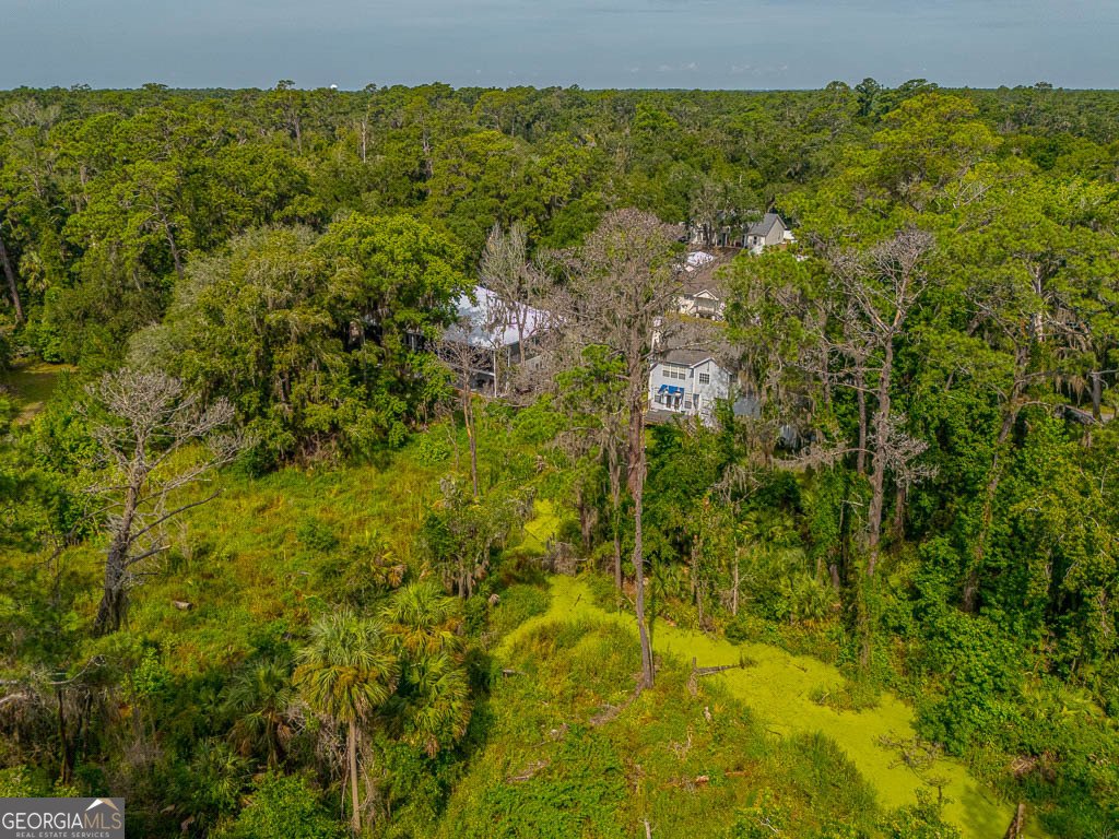 100 Virginia St. Simons - Photo 54