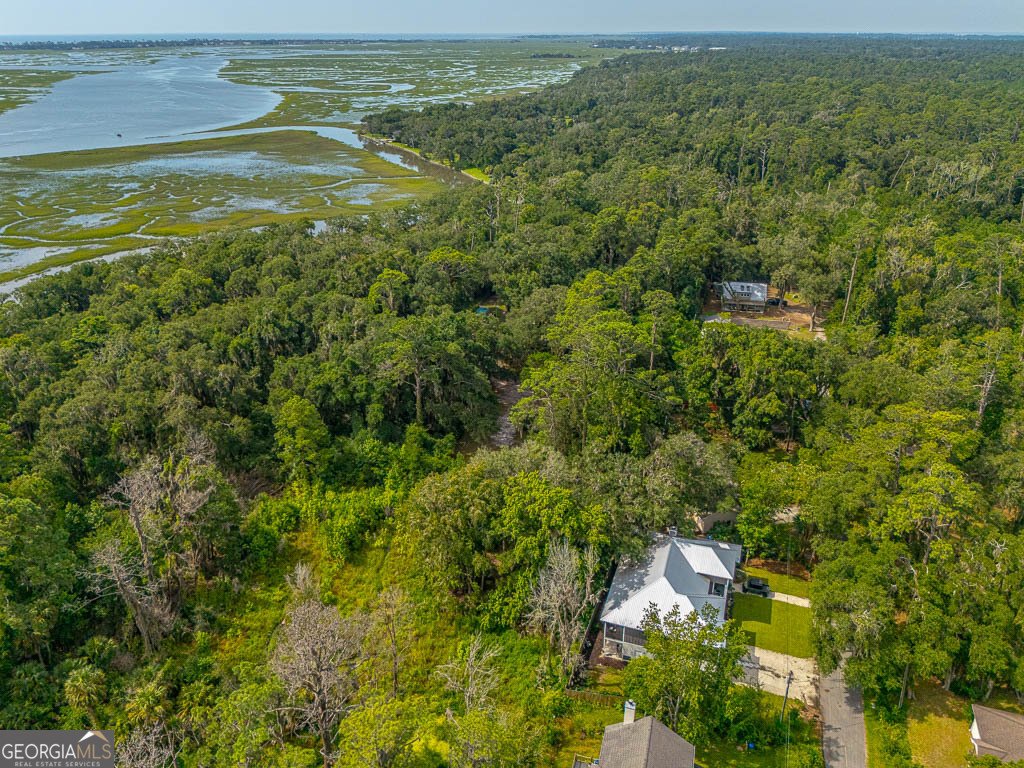 100 Virginia St. Simons - Photo 57