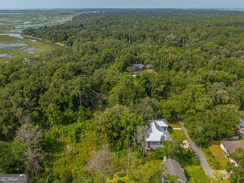 100 Virginia St. Simons - Photo 58
