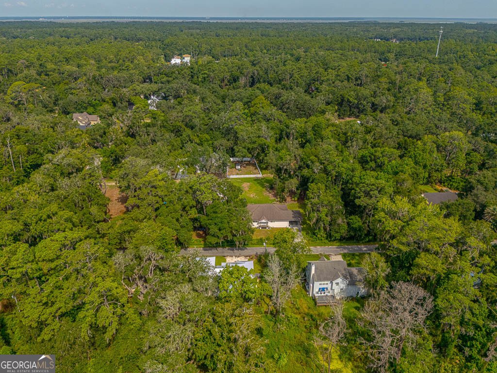100 Virginia St. Simons - Photo 59