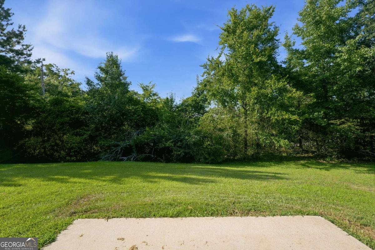 612 Mohawk Circle Stockbridge - Photo 42