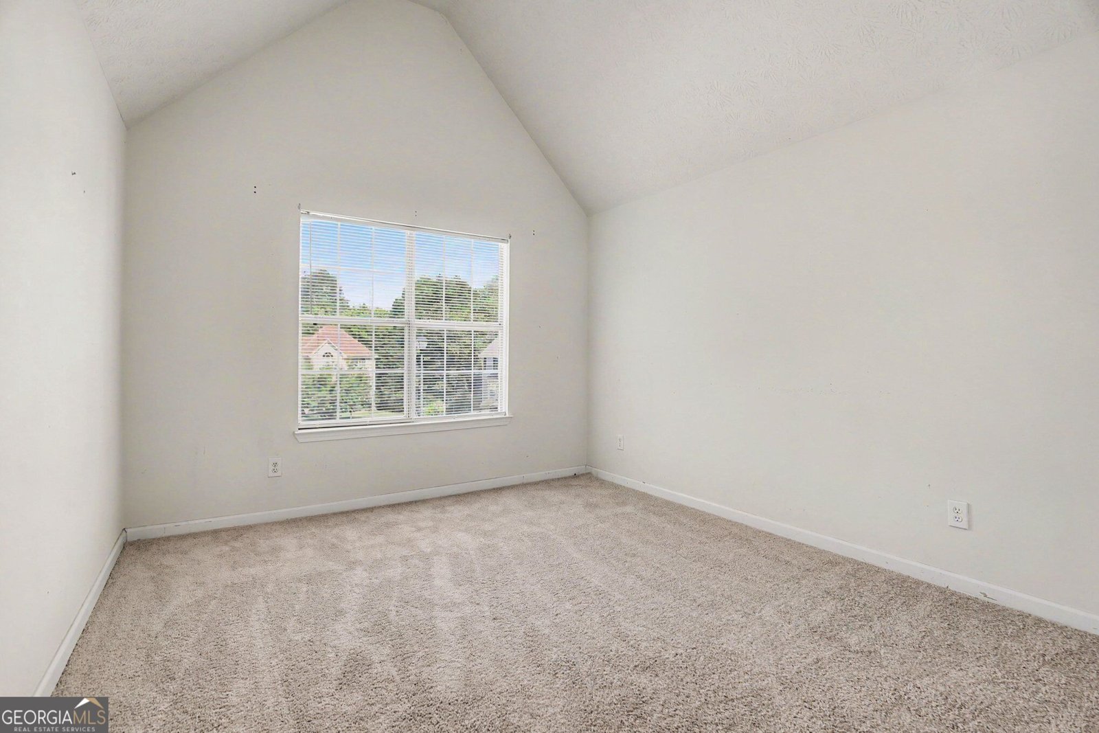 11050 Pebble Brook Court Hampton - Photo 22