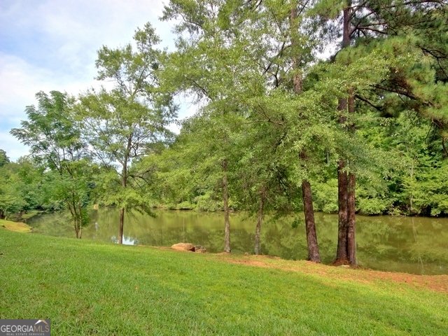 289 Baldwin Court Newnan - Photo 74