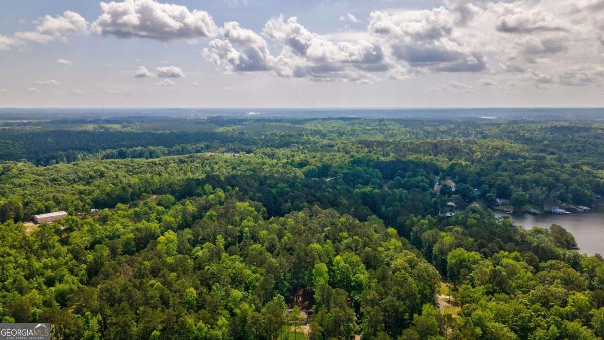 128 Sunfish Trail Eatonton - Photo 19