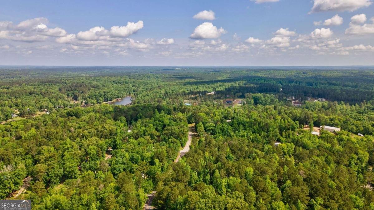 128 Sunfish Trail Eatonton - Photo 24