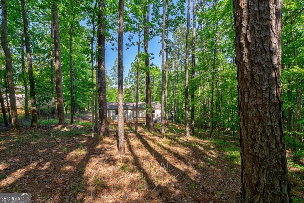 128 Sunfish Trail Eatonton - Photo 59
