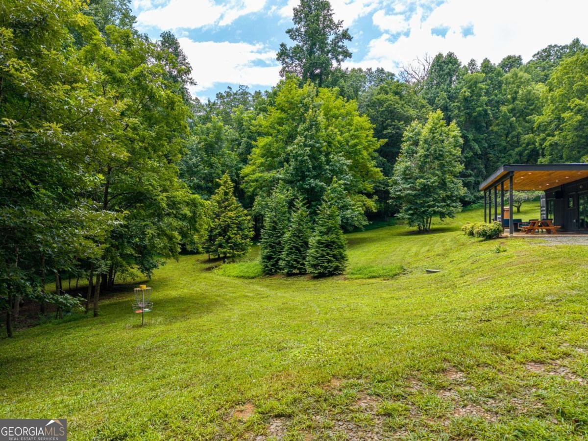 1824 Colwell Road Blue Ridge - Photo 32