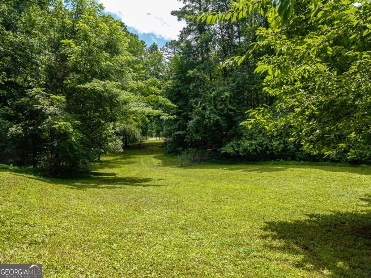 1824 Colwell Road Blue Ridge - Photo 44