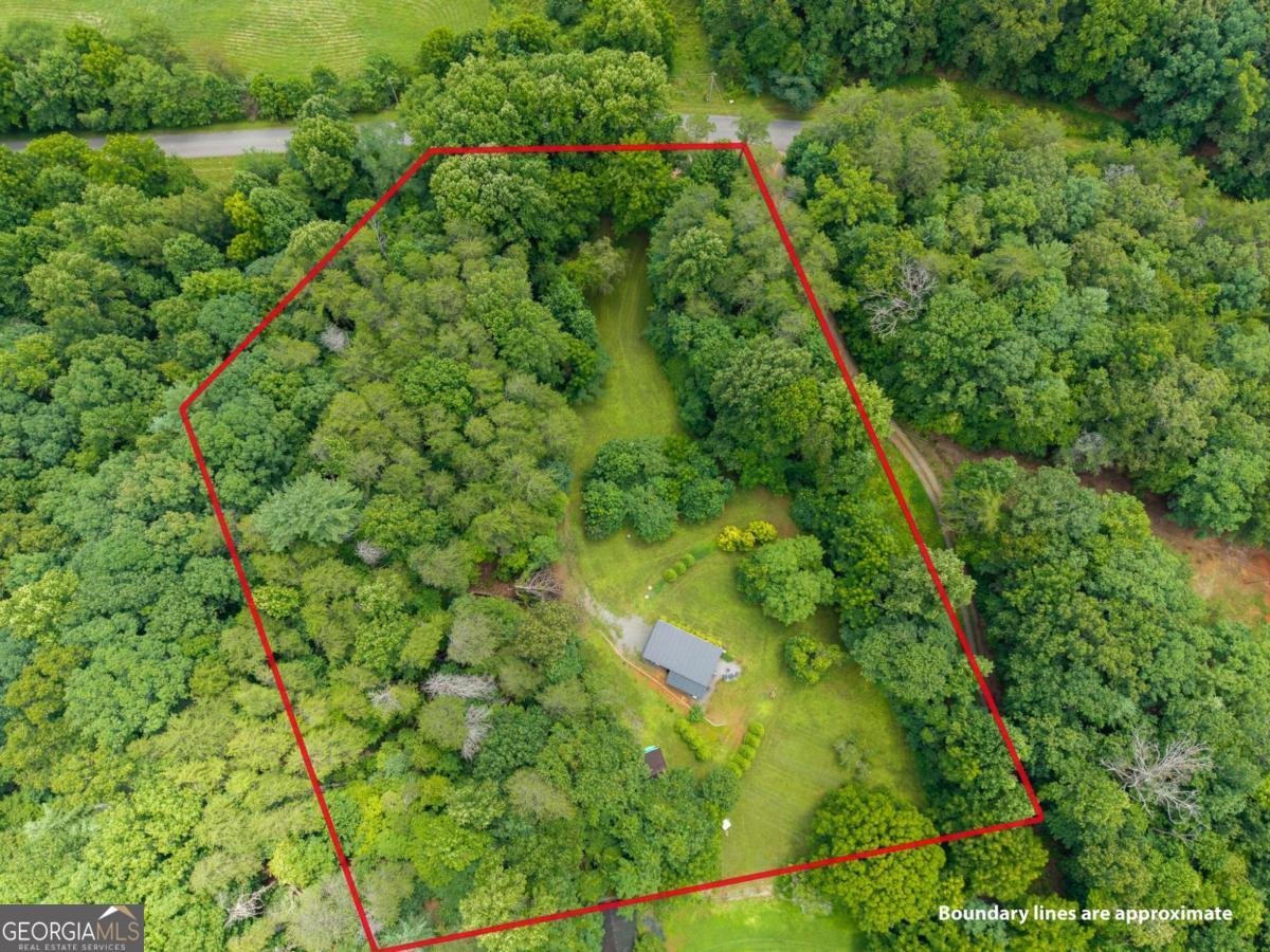 1824 Colwell Road Blue Ridge - Photo 47