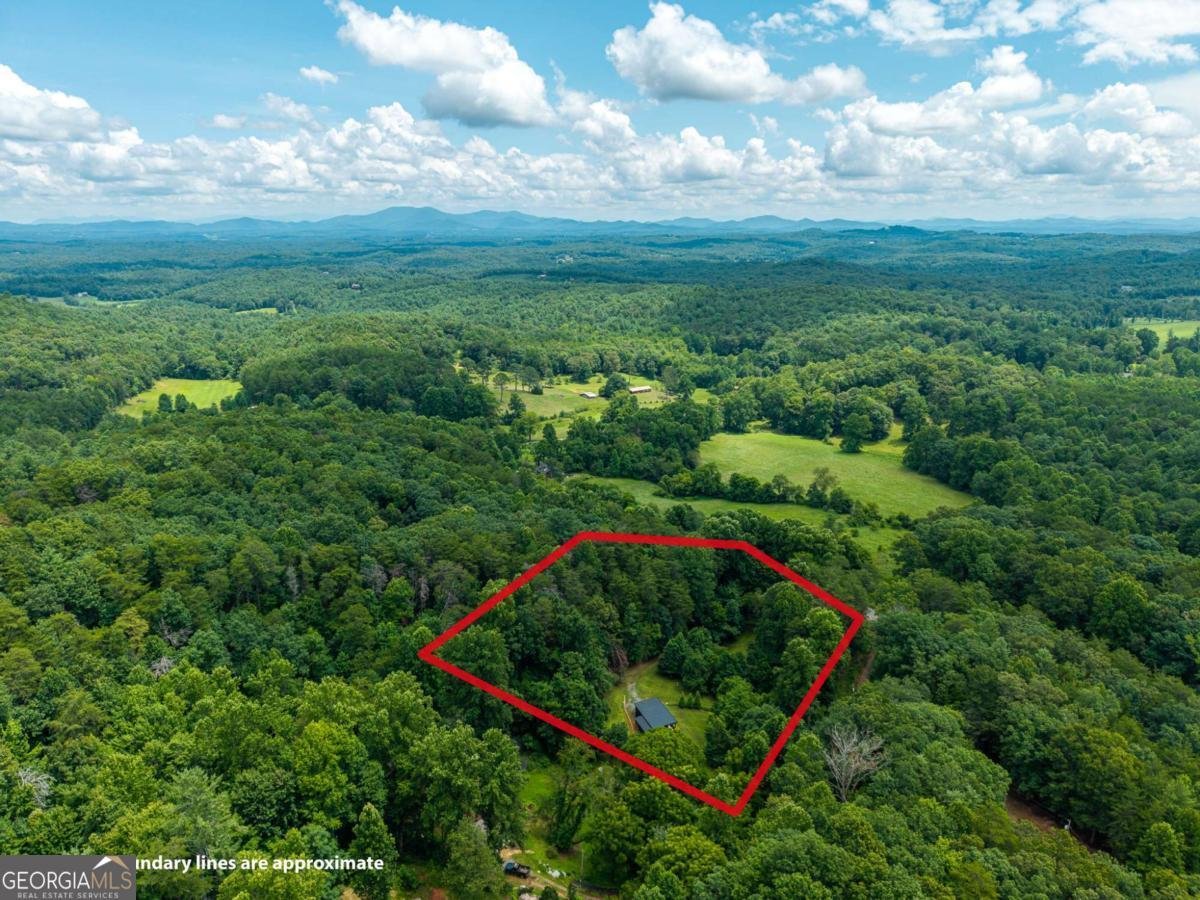 1824 Colwell Road Blue Ridge - Photo 48