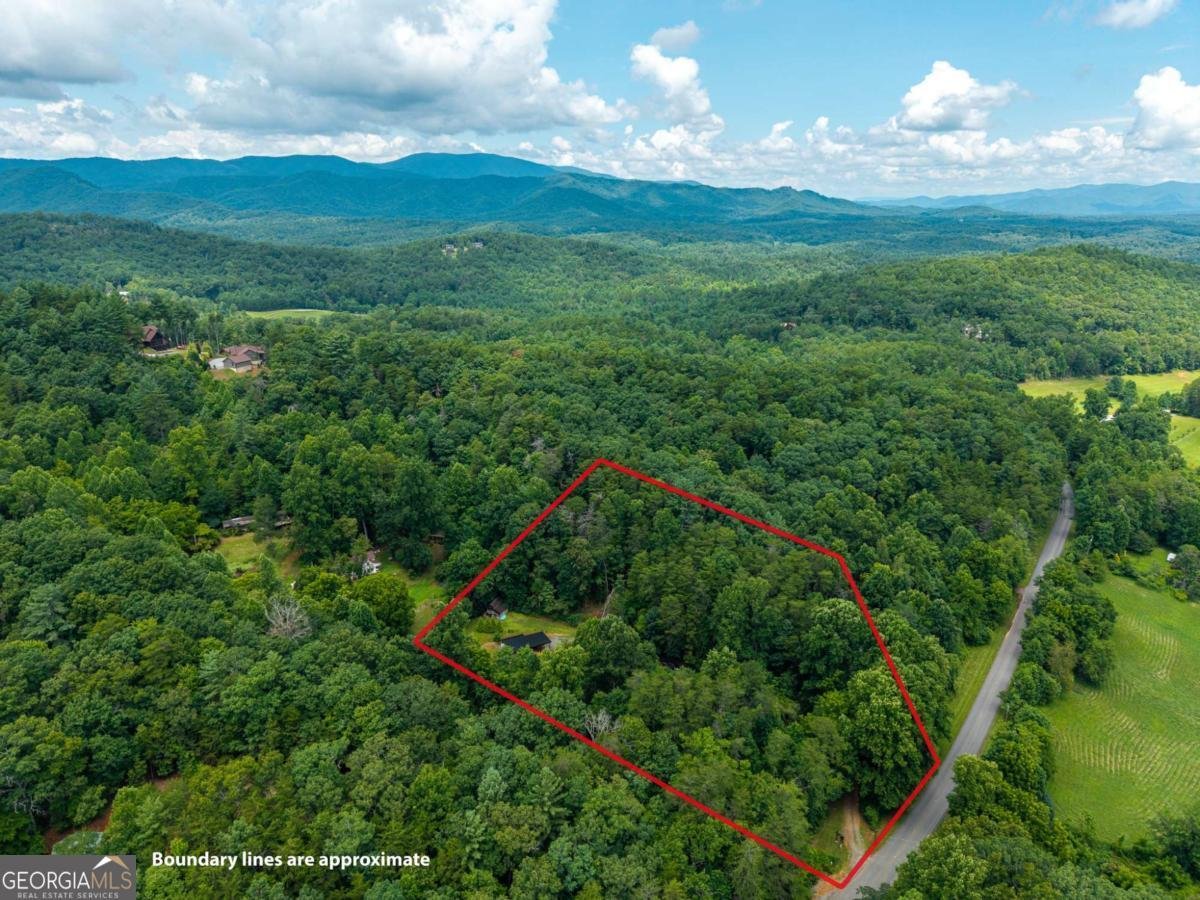 1824 Colwell Road Blue Ridge - Photo 49