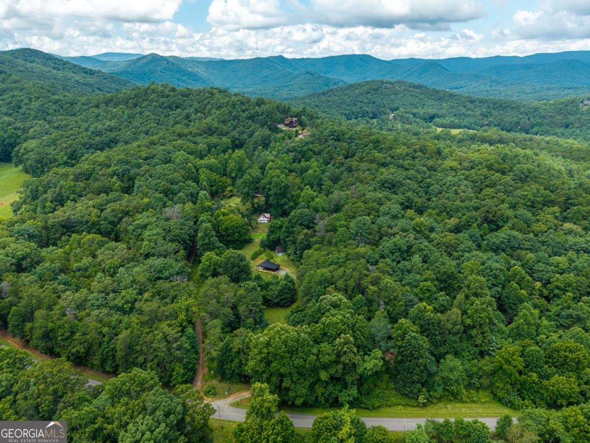 1824 Colwell Road Blue Ridge - Photo 50