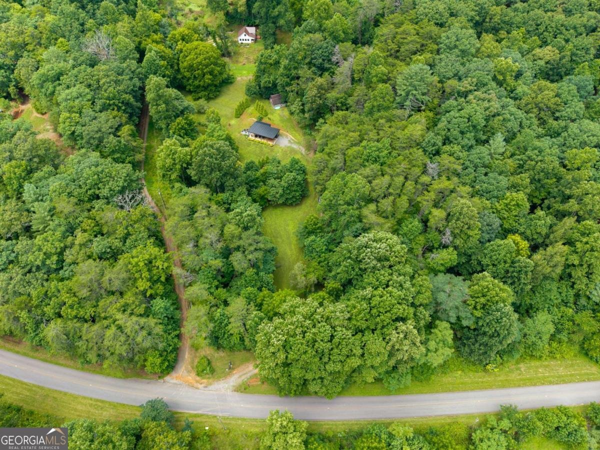 1824 Colwell Road Blue Ridge - Photo 51