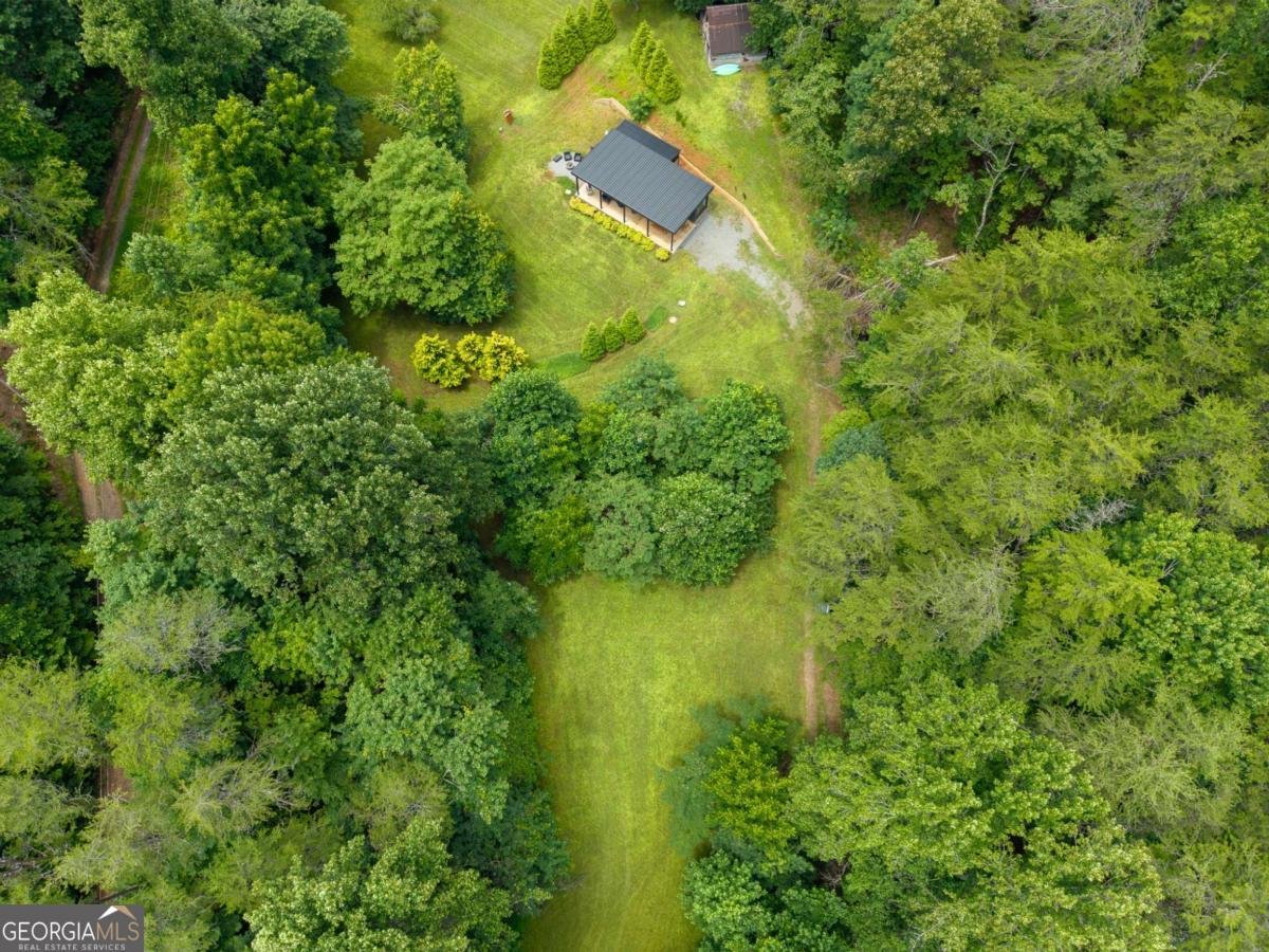 1824 Colwell Road Blue Ridge - Photo 52