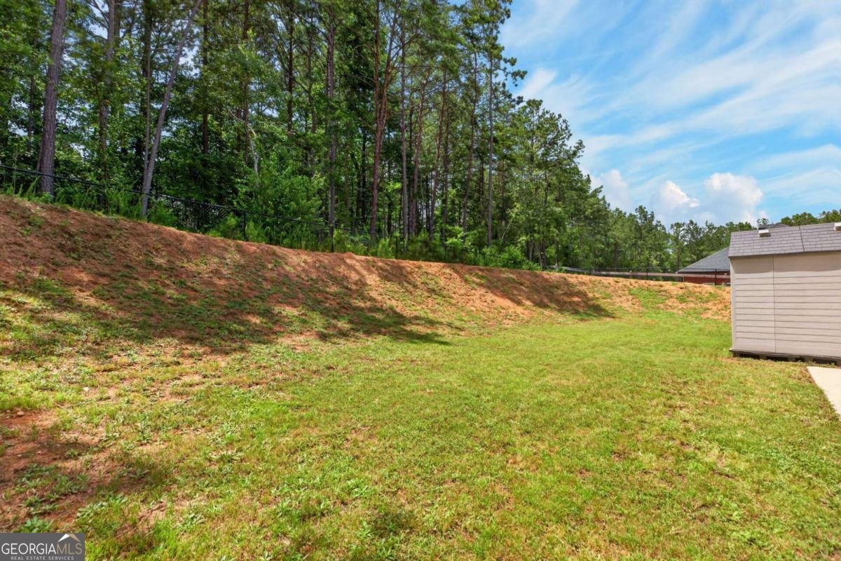 6575 Hwy 101 Rockmart - Photo 31