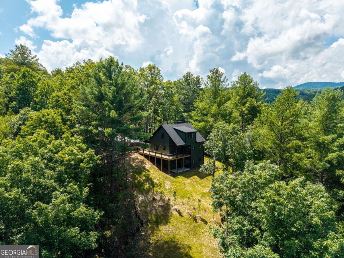 66 Briar Creek Court Morganton - Photo 55