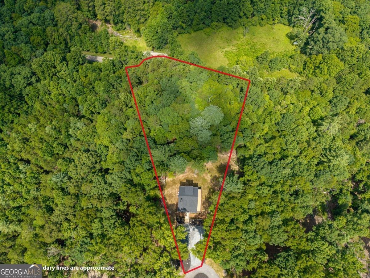 66 Briar Creek Court Morganton - Photo 56