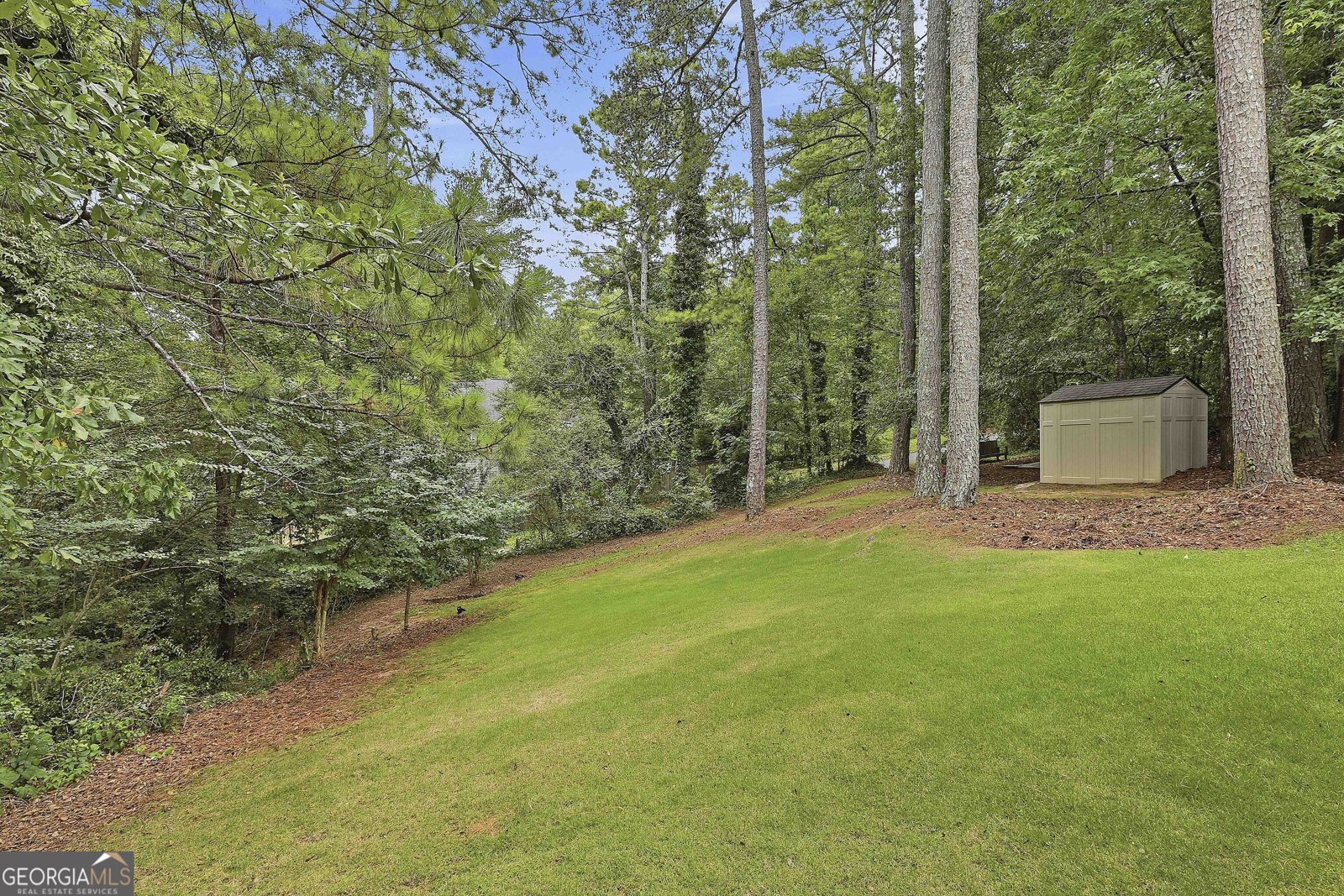 102 Belvedere Lane Peachtree City - Photo 44