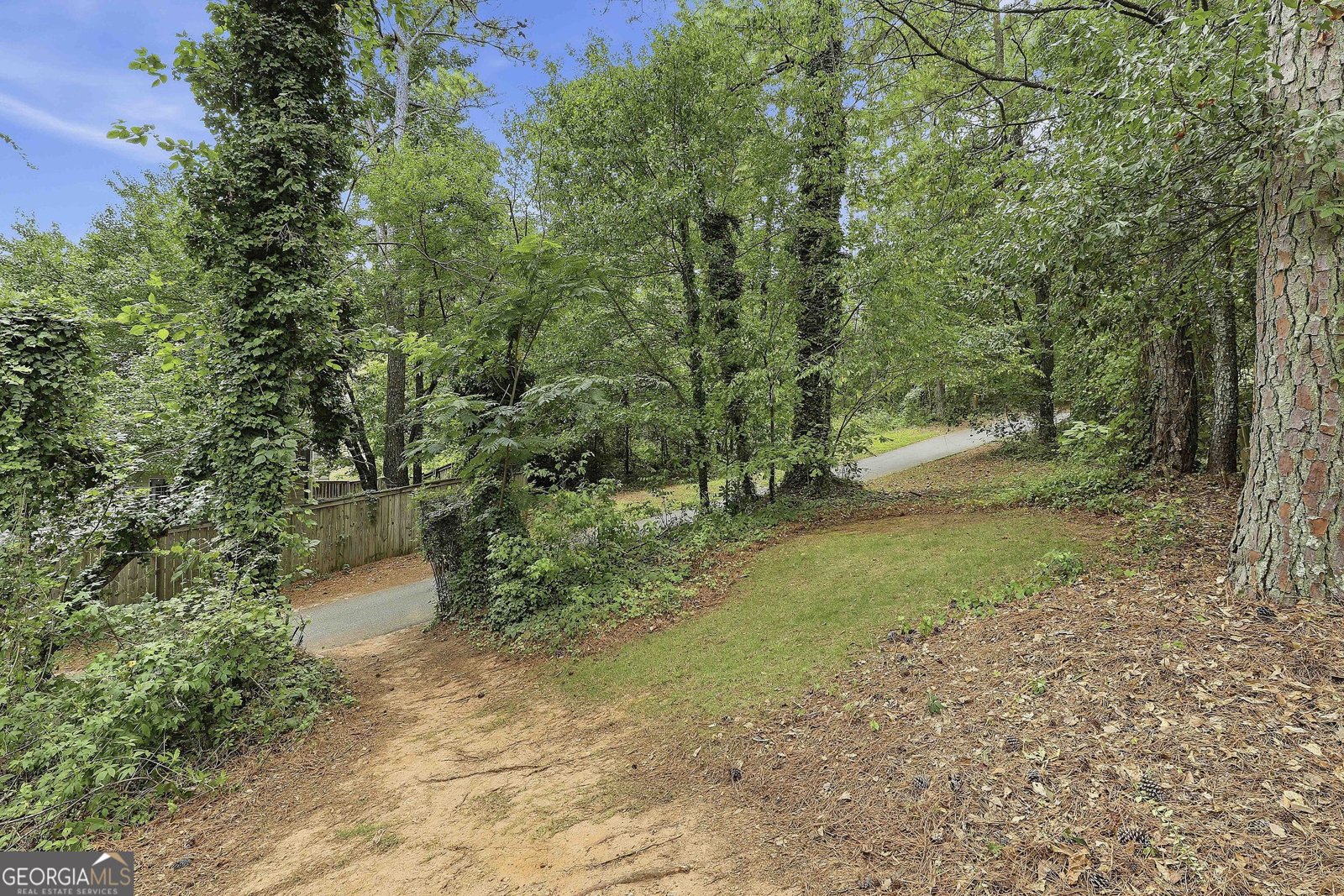 102 Belvedere Lane Peachtree City - Photo 51