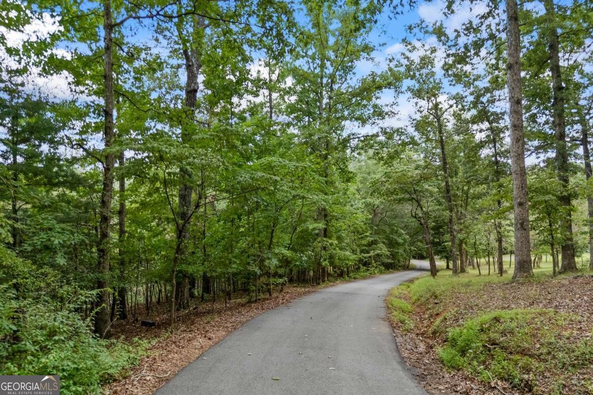 1542 Lumpkin County Parkway Dahlonega - Photo 37