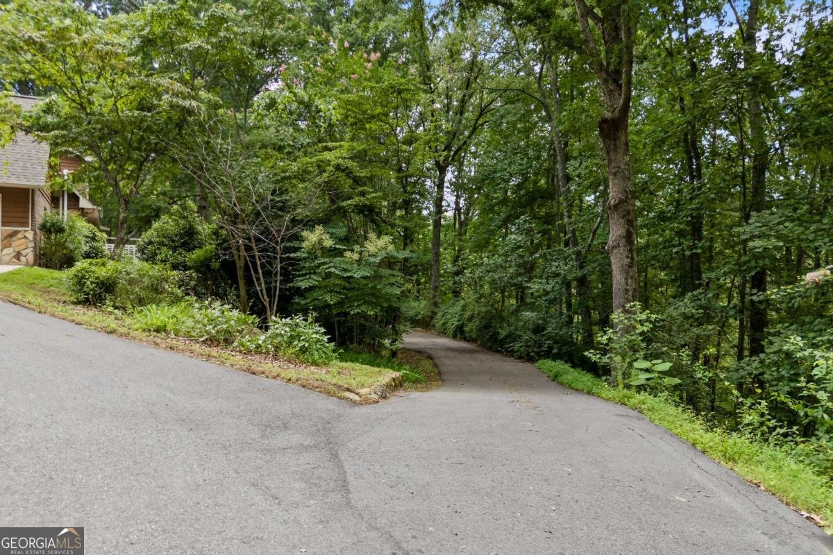 1542 Lumpkin County Parkway Dahlonega - Photo 38